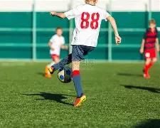 年全球电竞,职业选手奖,金收入榜单,平博体育平台,平博体育官方网站,平博体育登录入口,平博体育app下载