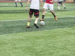 大阪樱花迎,战横滨,日联杯赛事,平博体育平台,平博体育官方网站,平博体育登录入口,平博体育app下载