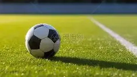 平博体育 产品 115418 1fr